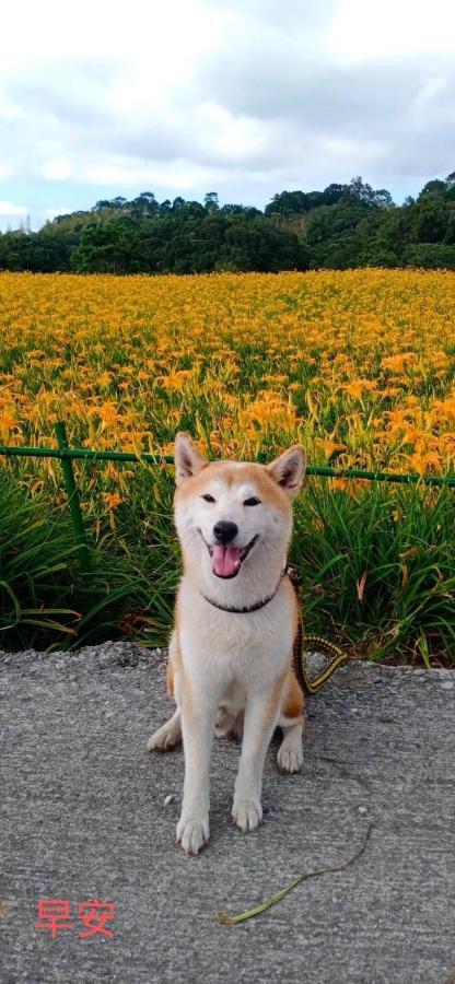 Mi Xiang Homestay Chishang Exteriör bild